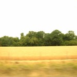 030706_6111_3711
