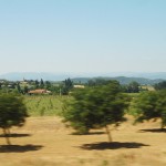 030706_6111_3761