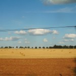 030717_8562_4094
