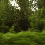 030725_1009_4229