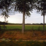030725_1009_4261