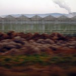 040117_6116_0619
