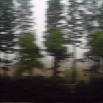 040613_Z1_1572