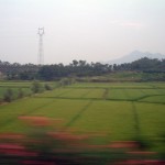 040621_K99_1686