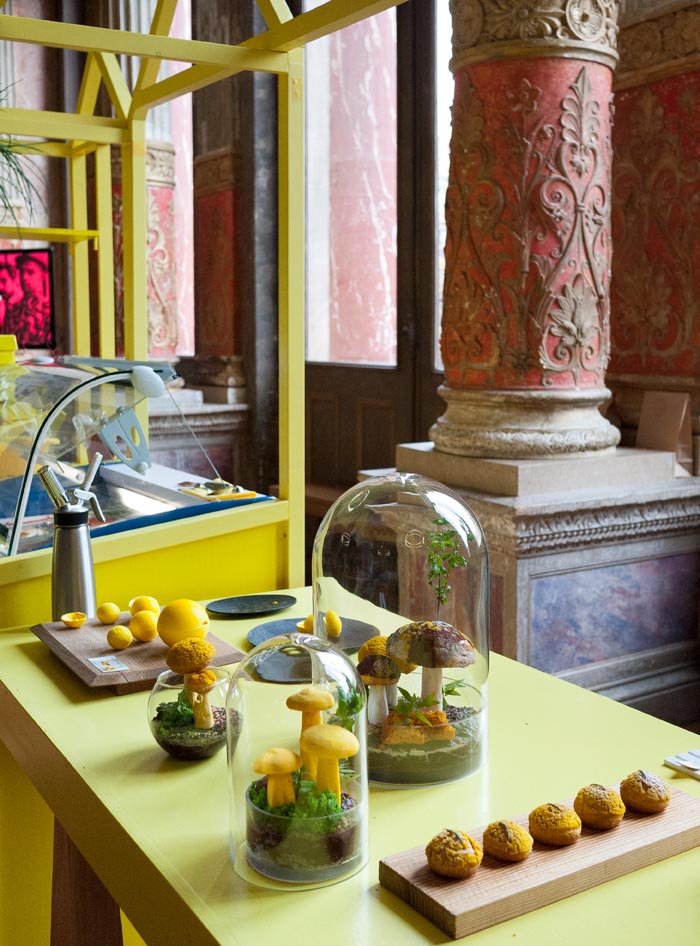 &copy Zelda Georgel / Carole Belenus (photo: Tadzio)