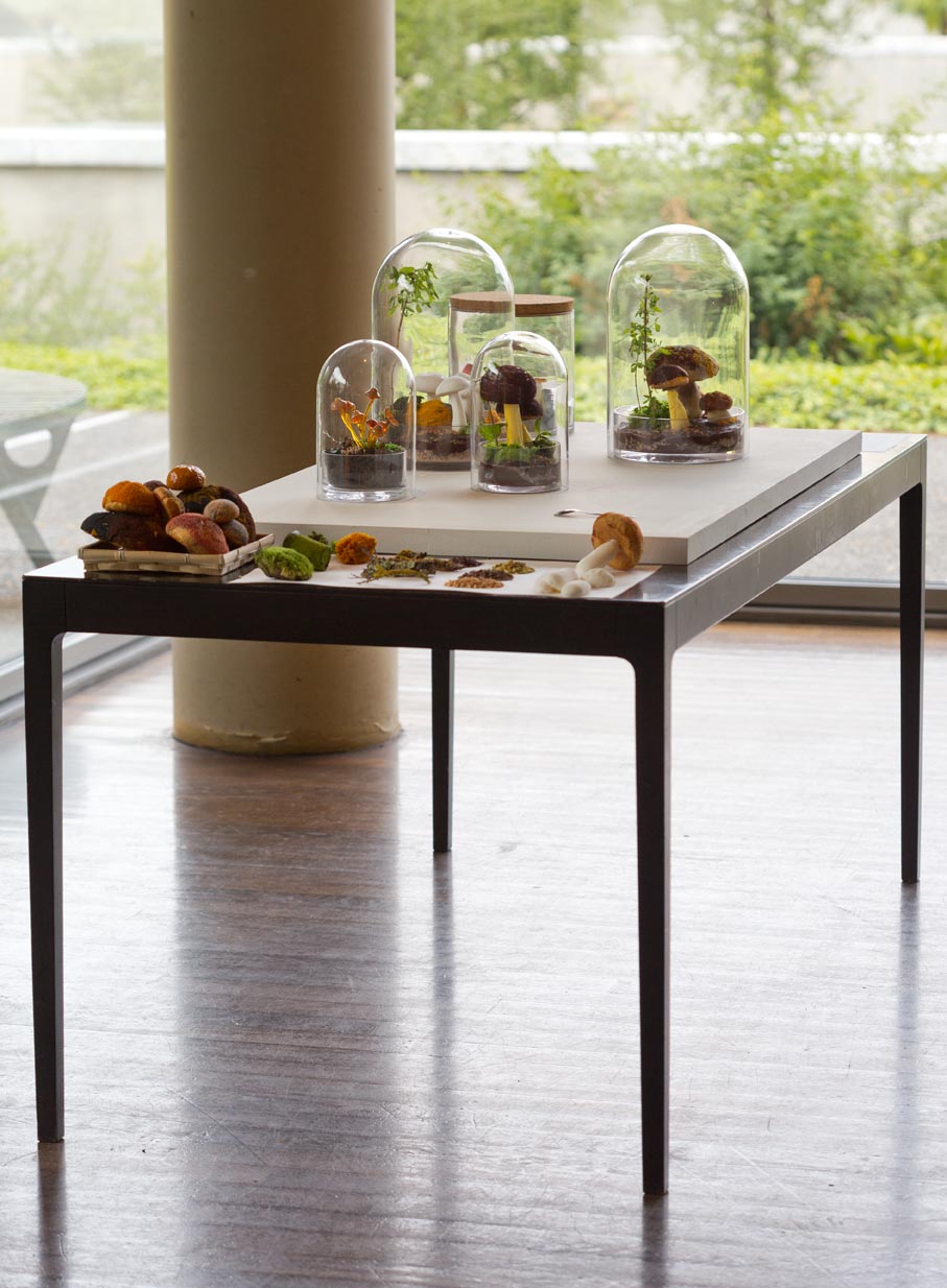 &copy Zelda Georgel / Carole Belenus (photo: Tadzio)