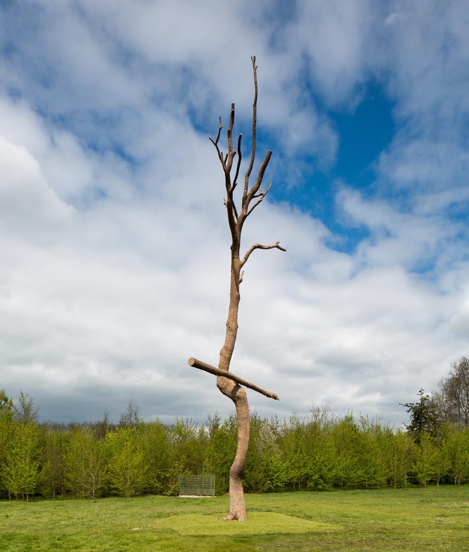 Tadzio, Versailles Penone