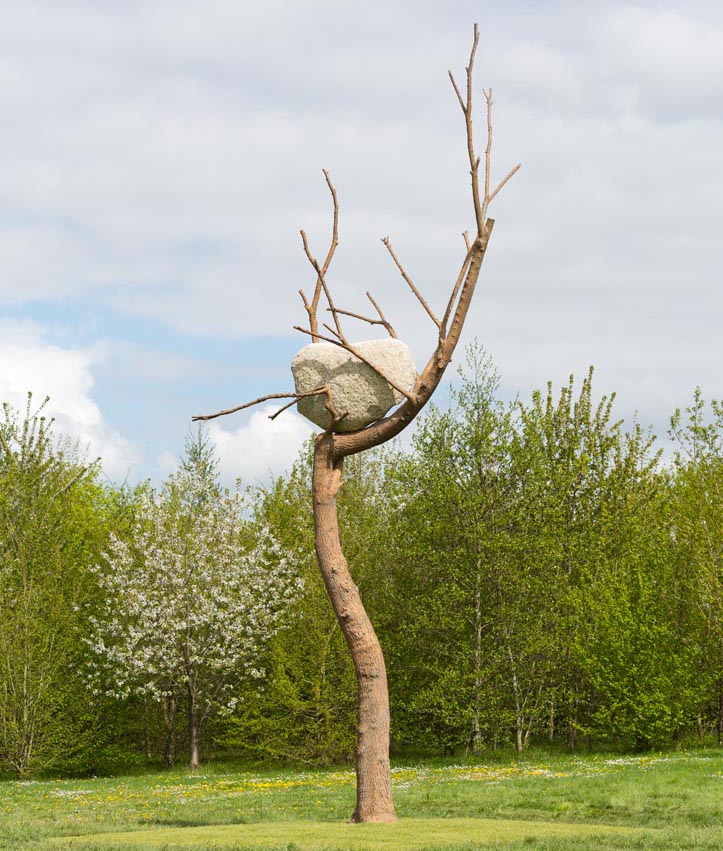 Tadzio, Versailles Penone