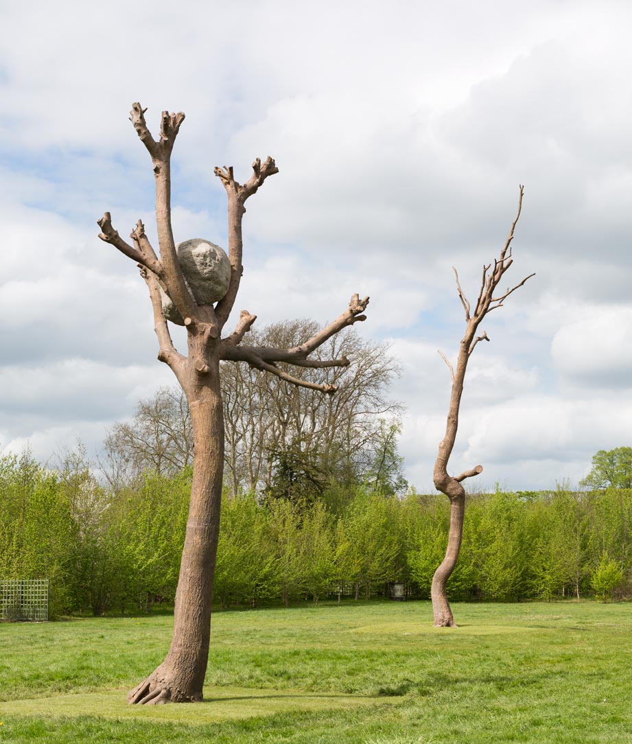 Tadzio, Versailles Penone