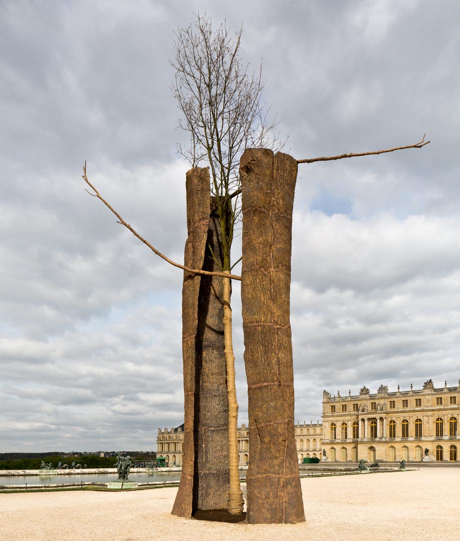 Versailles Penone