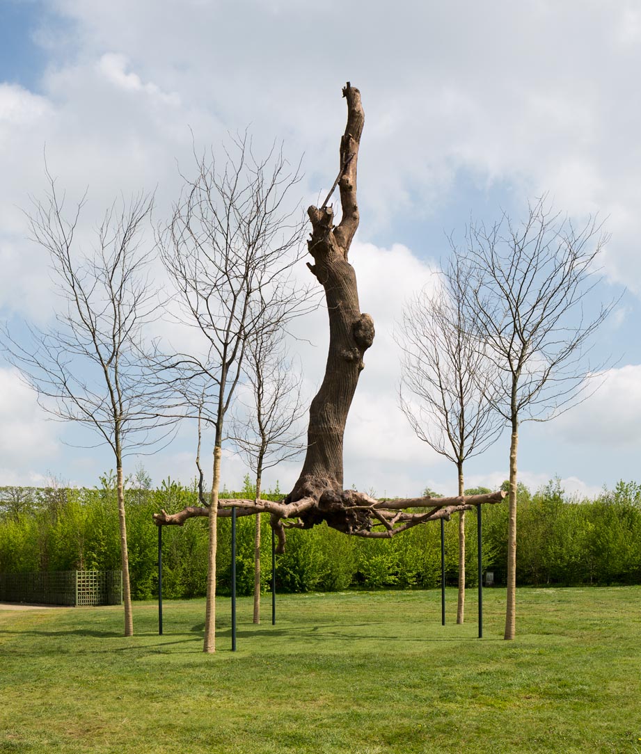 Tadzio, Versailles Penone