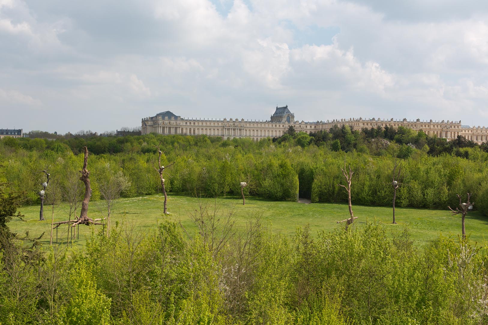 Tadzio, Versailles Penone