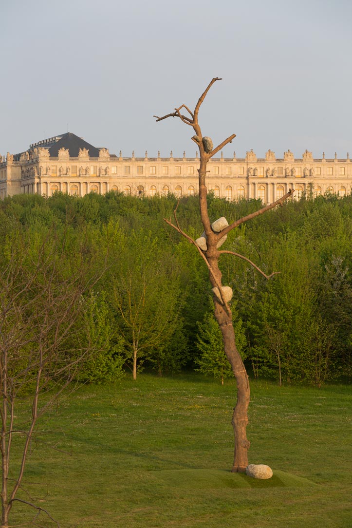 Tadzio, Versailles Penone