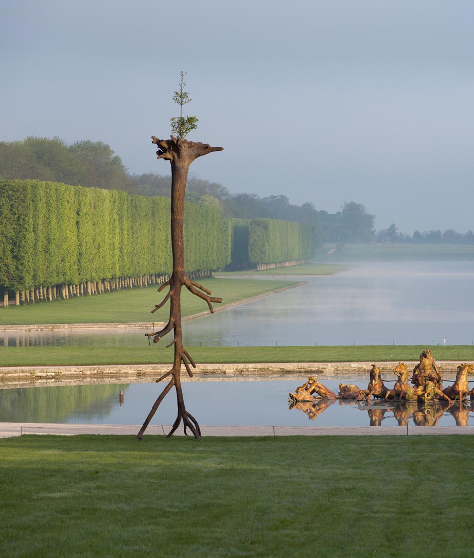Tadzio, Versailles Penone