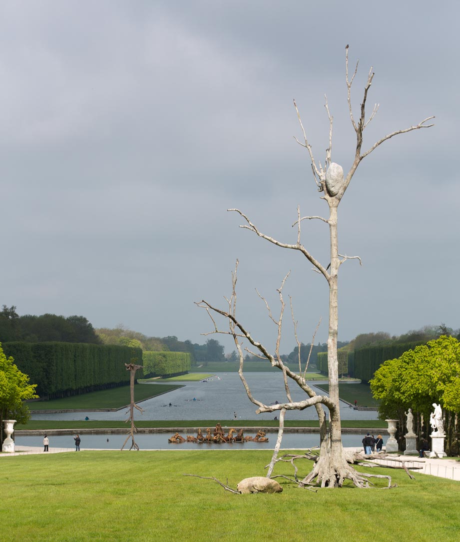 Tadzio, Versailles Penone
