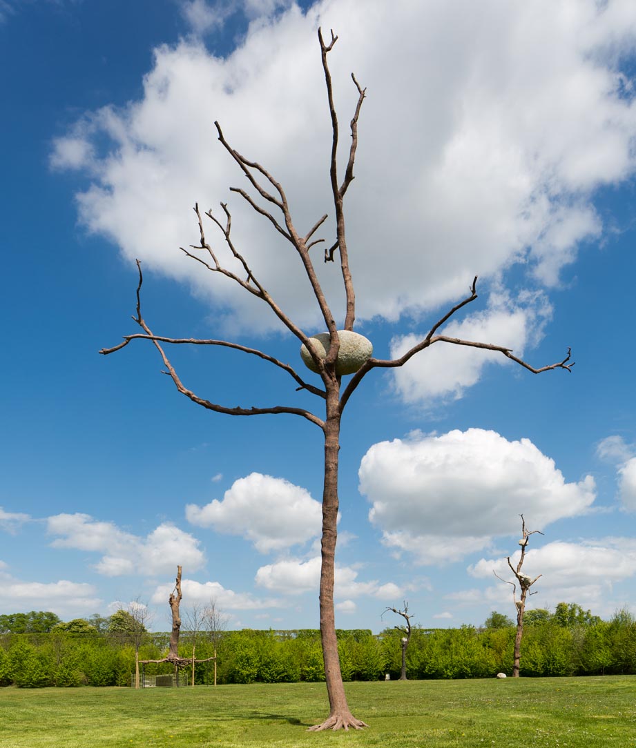 Tadzio, Versailles Penone