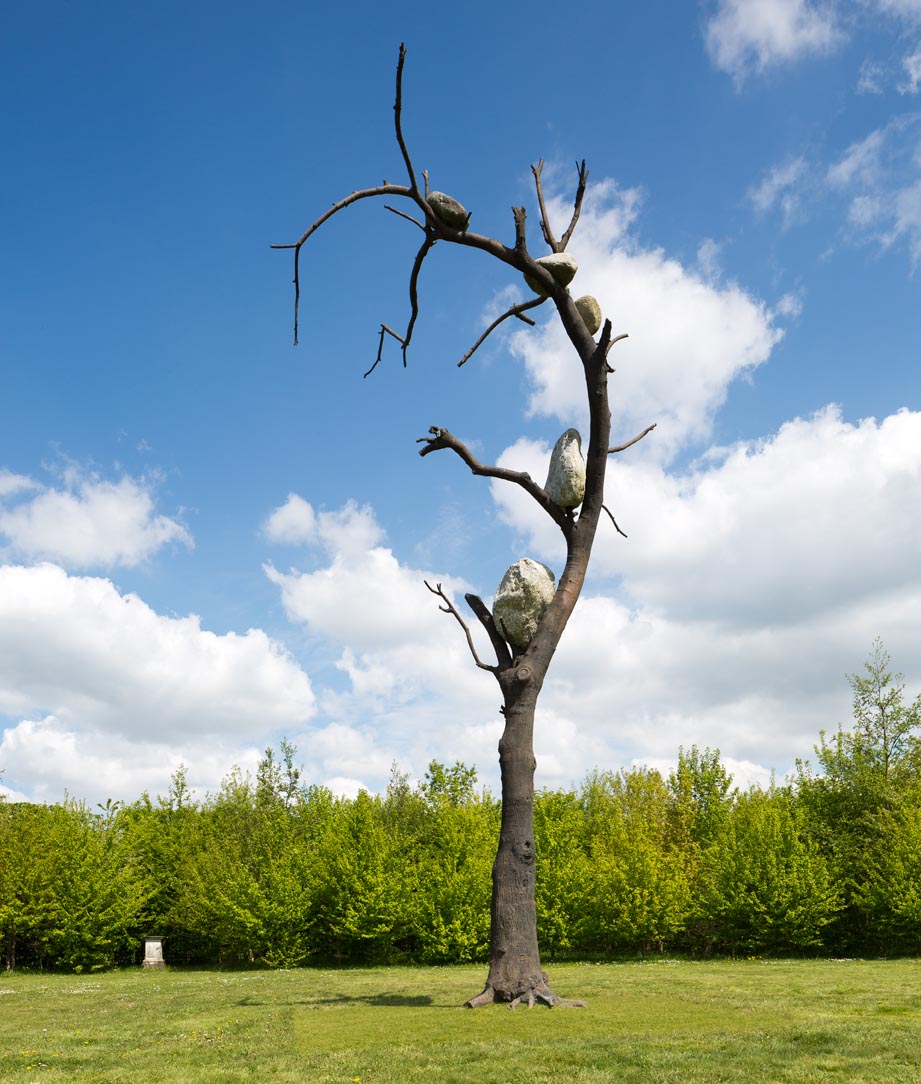 Tadzio, Versailles Penone
