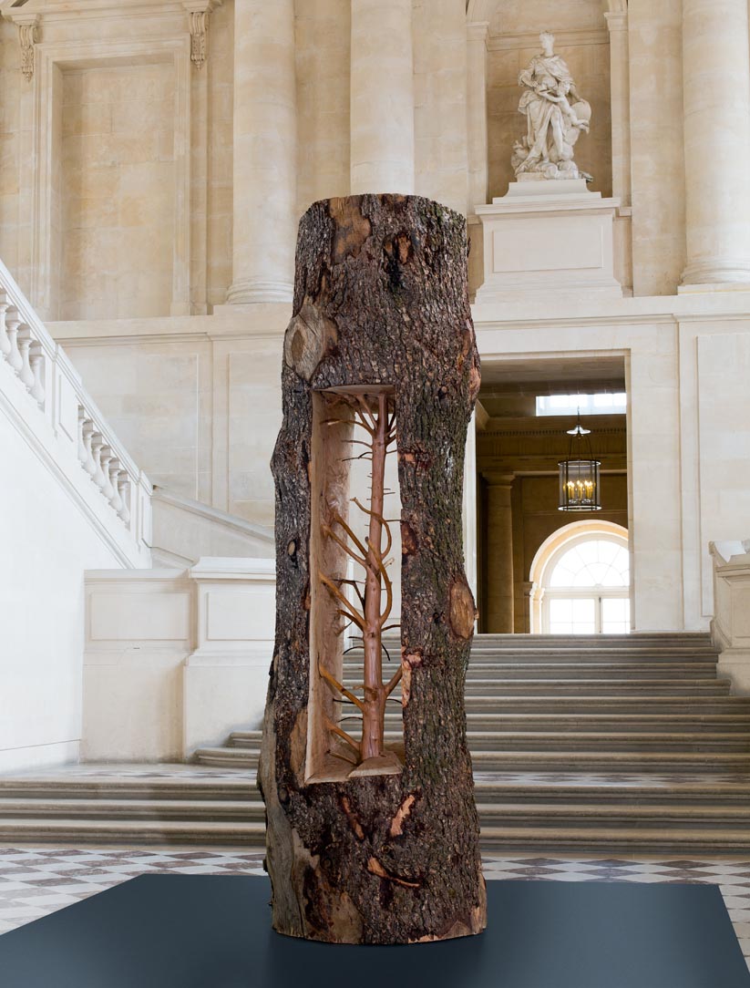 Tadzio, Versailles Penone