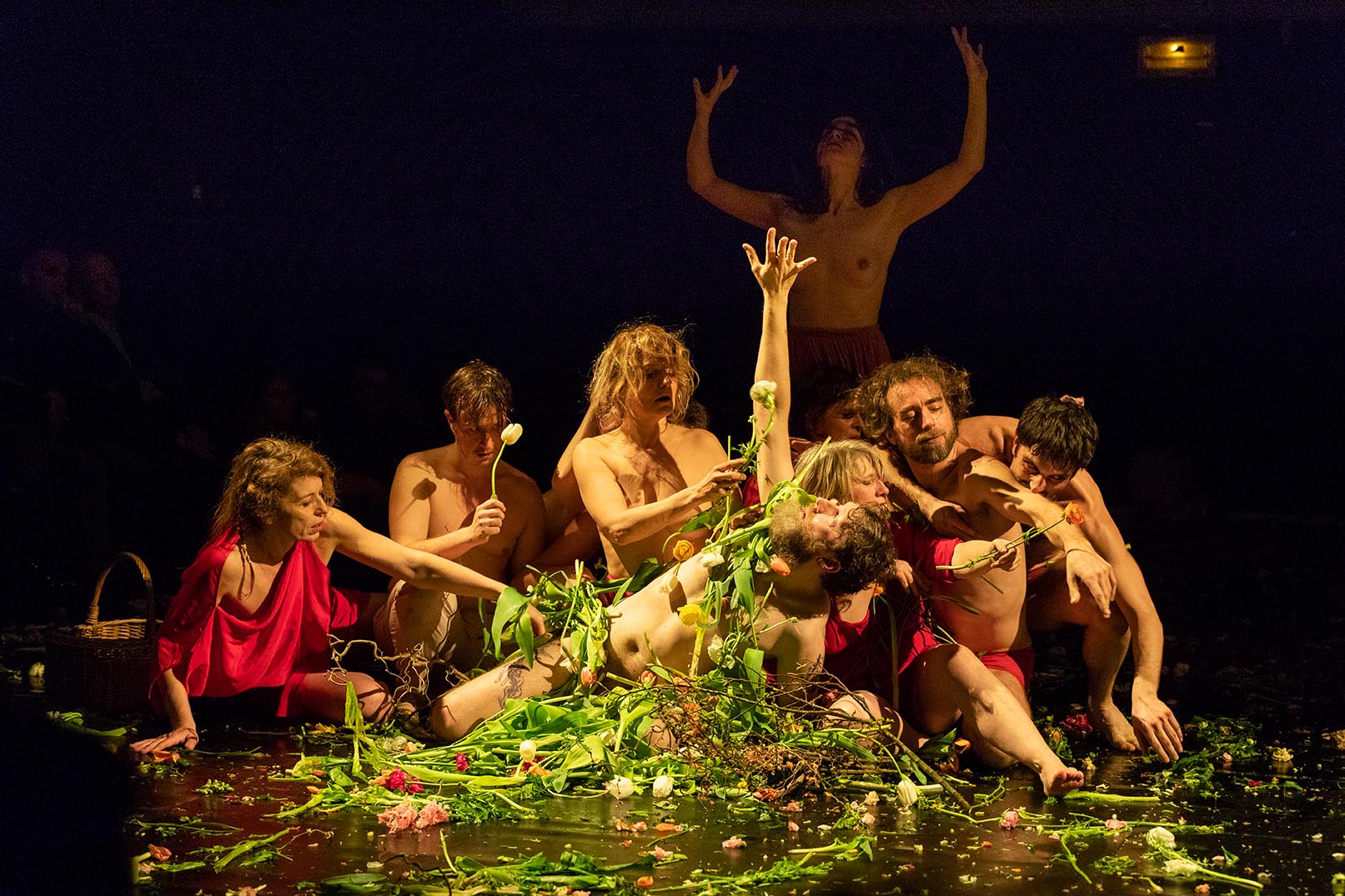 Le corps collectif, photo : Tadzio