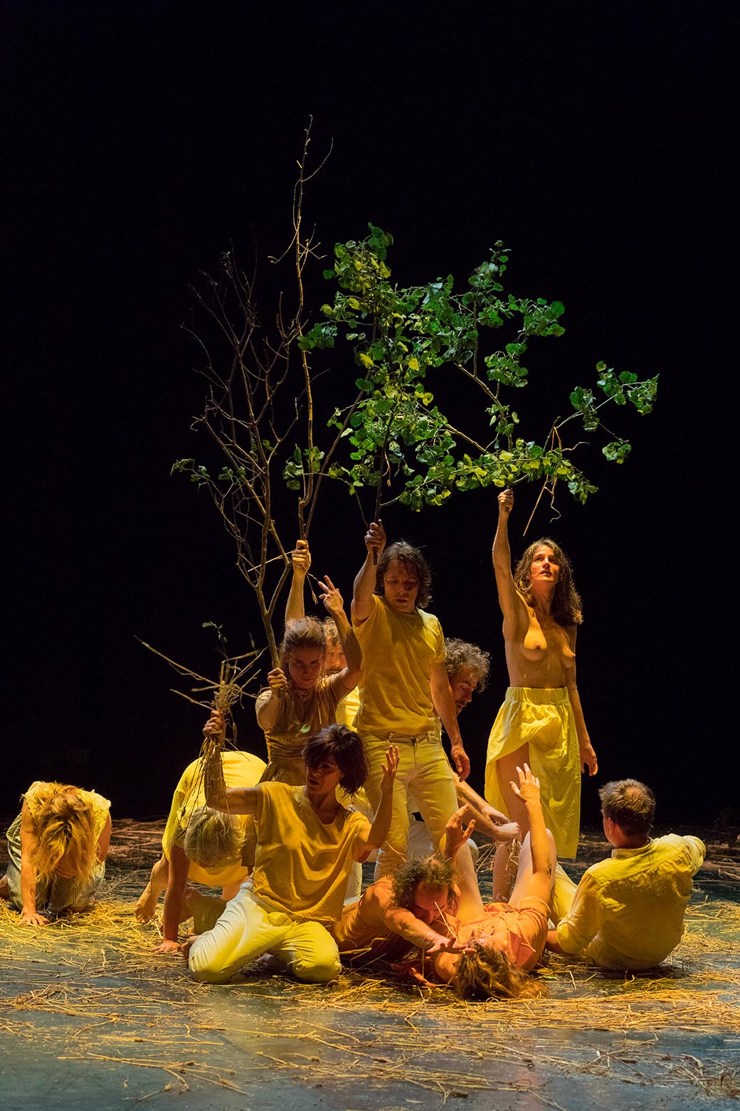 Le corps collectif, photo : Tadzio