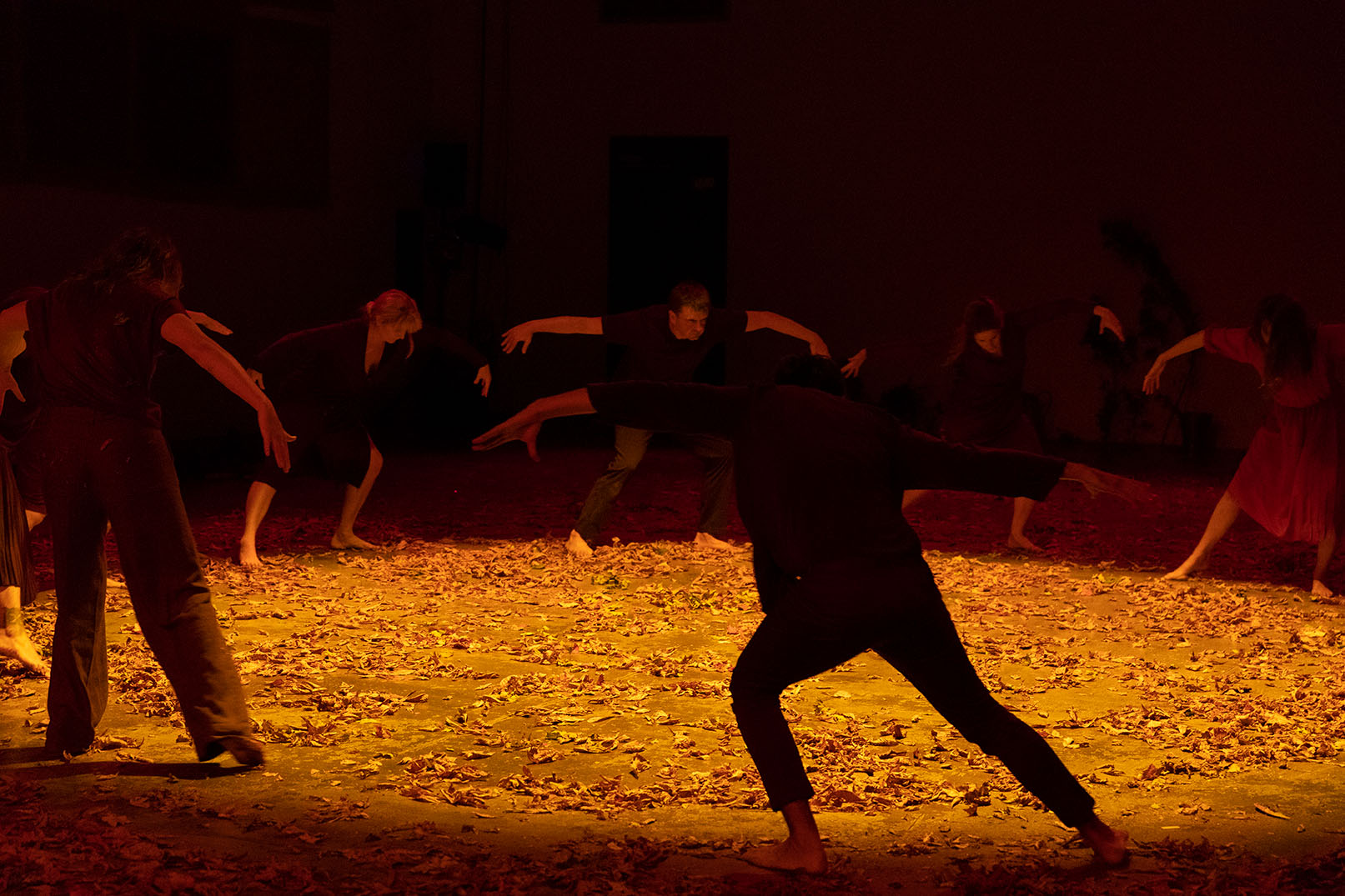 Le corps collectif, photo : Tadzio
