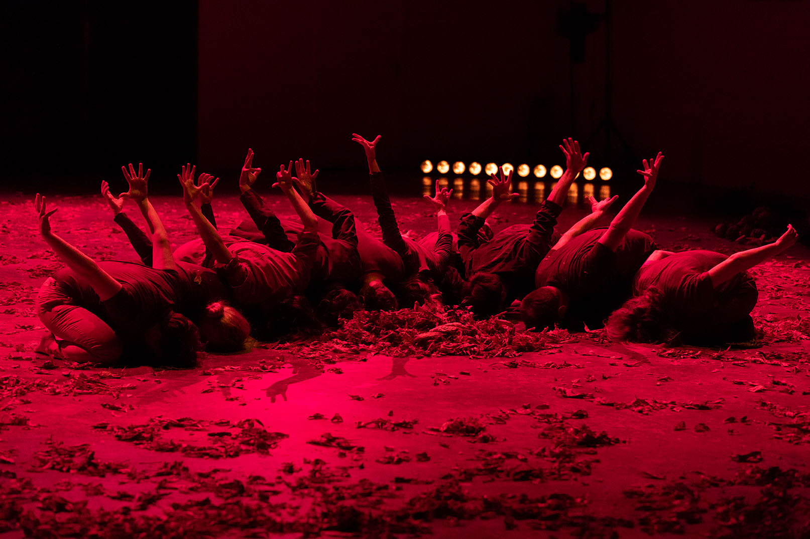 Le corps collectif, photo : Tadzio