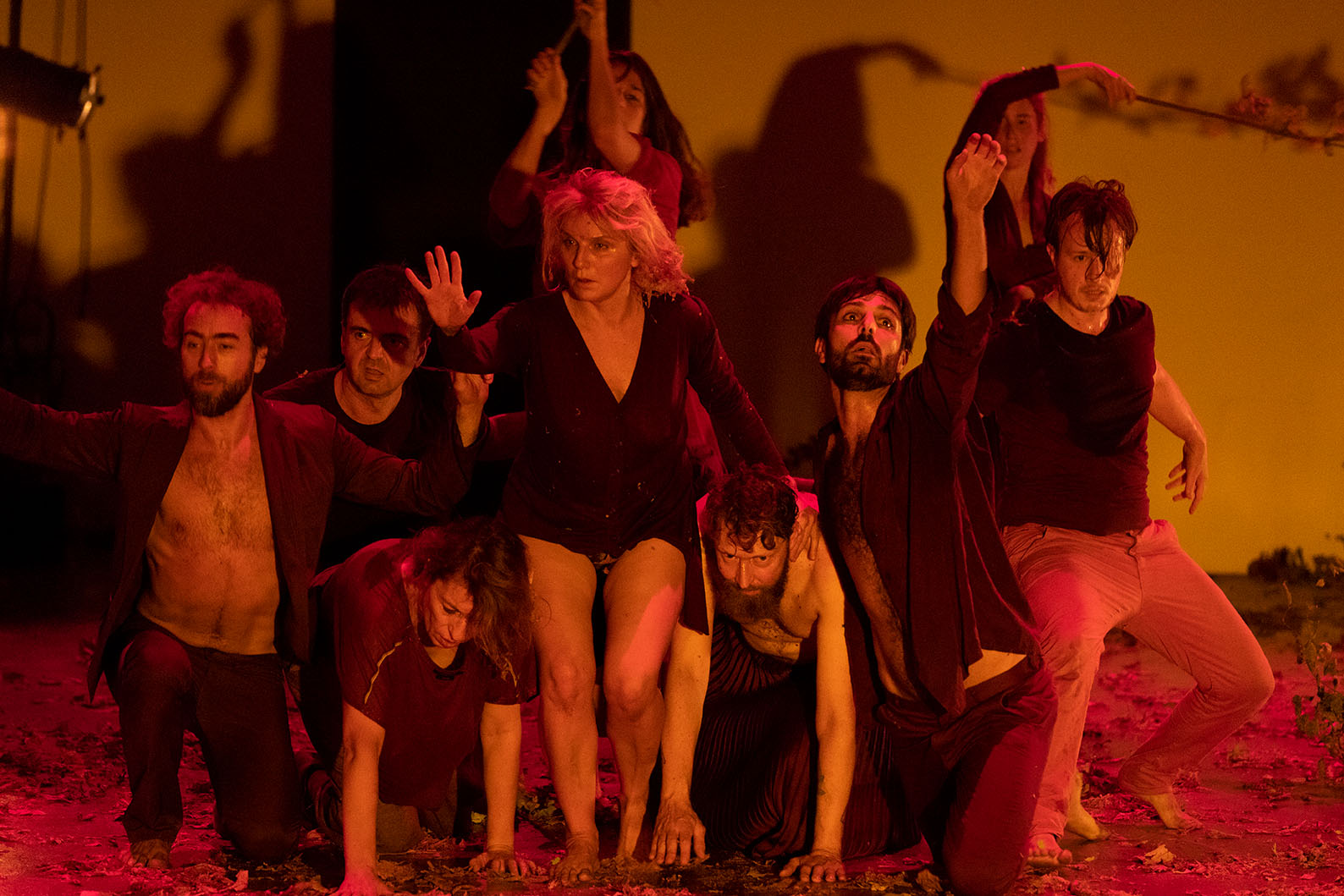 Le corps collectif, photo : Tadzio