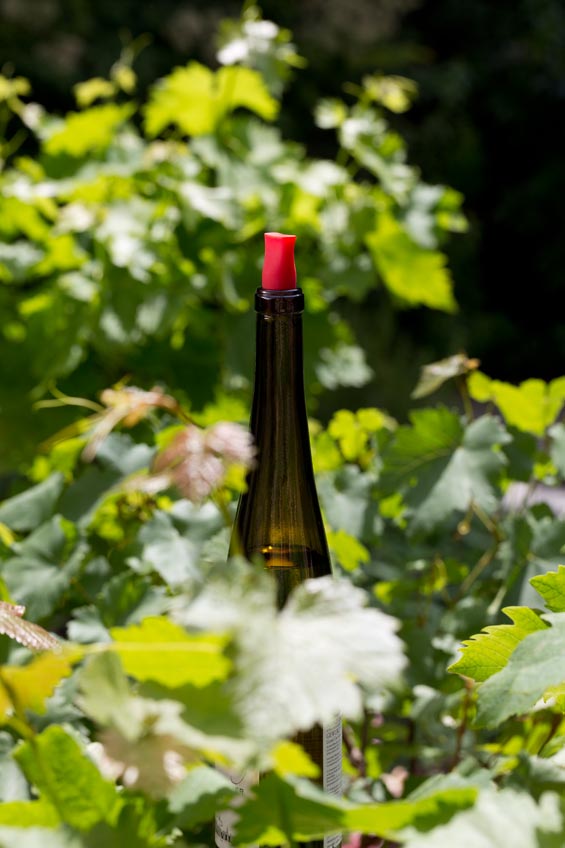 Tadzio, Atelier du vin