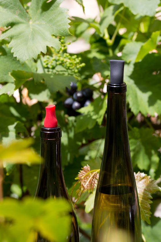 Tadzio, Atelier du vin