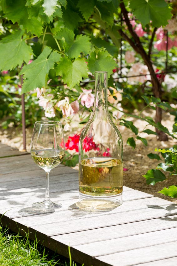 Tadzio, Atelier du vin