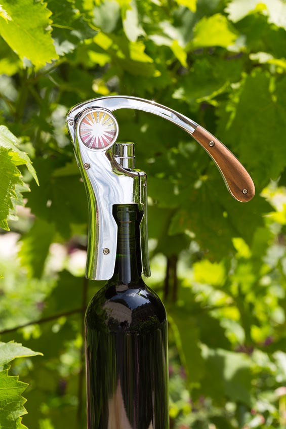 Tadzio, Atelier du vin