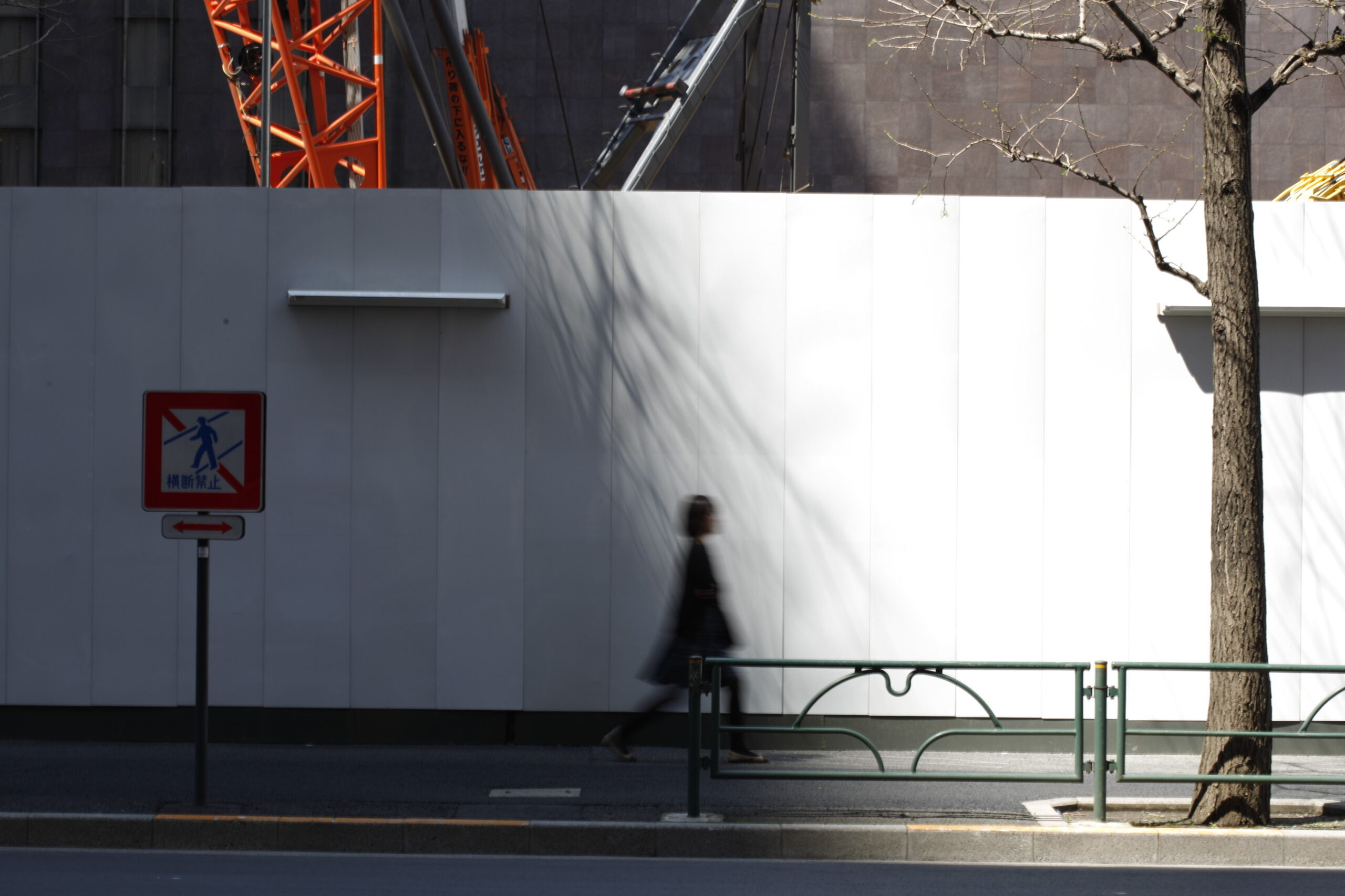 Tadzio, Tokyo